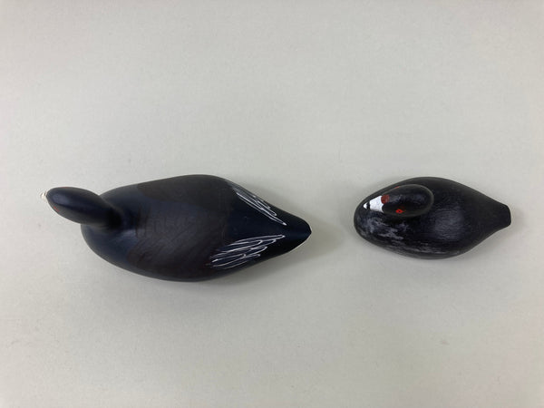 Two- Mini Coots (#5363)