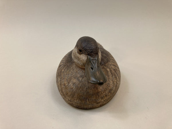 Beardsley Ruddy Duck Hen, with History (#5365)