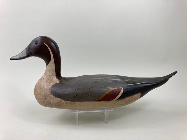 Illinois River Pintail Drake, all Original (#5417)