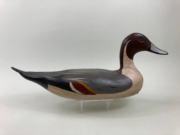 Illinois River Pintail Drake, all Original (#5417)