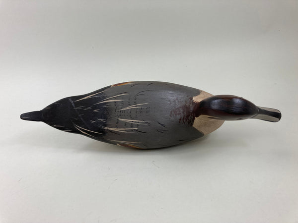 Illinois River Pintail Drake, all Original (#5417)