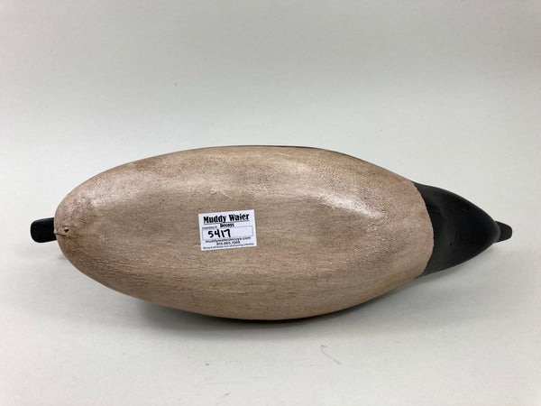 Illinois River Pintail Drake, all Original (#5417)