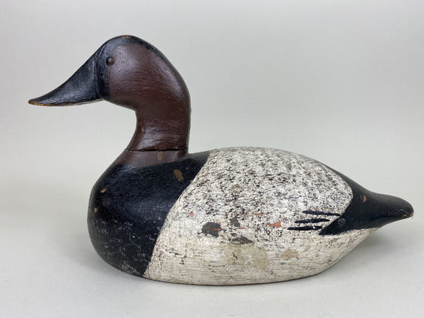 John Beisenstein Canvasback, Tack-eyes (#5439)