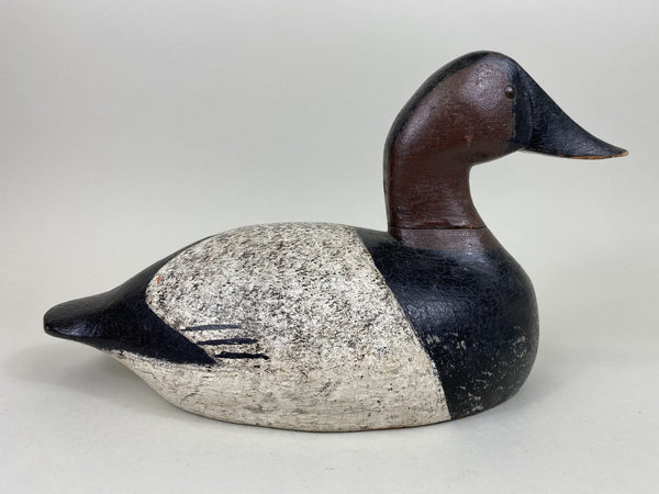 John Beisenstein Canvasback, Tack-eyes (#5439)