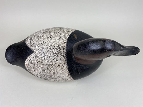 John Beisenstein Canvasback, Tack-eyes (#5439)