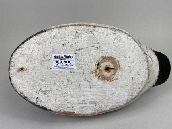 John Beisenstein Canvasback, Tack-eyes (#5439)