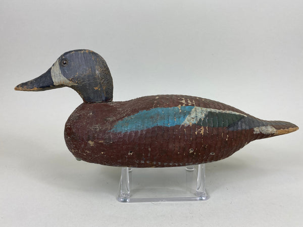 Rare Poitevin Brothers Blue Wing Teal (#5442)