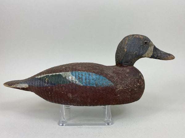 Rare Poitevin Brothers Blue Wing Teal (#5442)