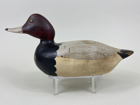 Tom Taber Redhead Drake (#5456)