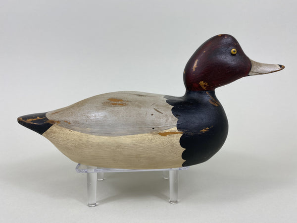 Tom Taber Redhead Drake (#5456)