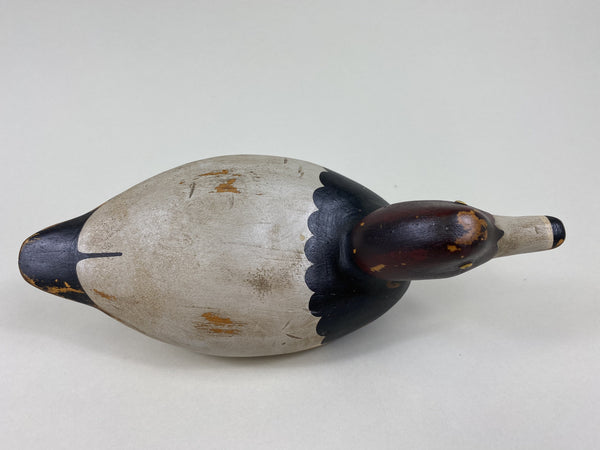 Tom Taber Redhead Drake (#5456)