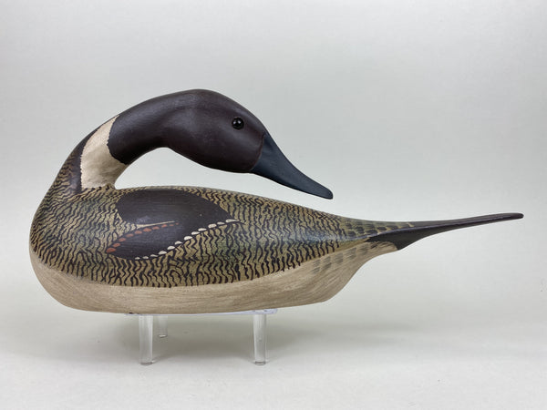 Crowell Replica Preening Pintail (#5460)