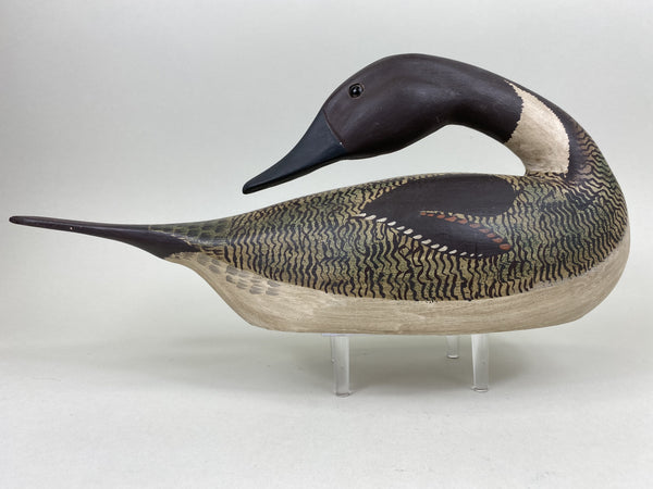 Crowell Replica Preening Pintail (#5460)
