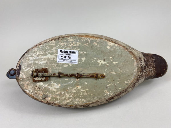 Evans Blue Bill Hen, Mammoth Grade (#5470)