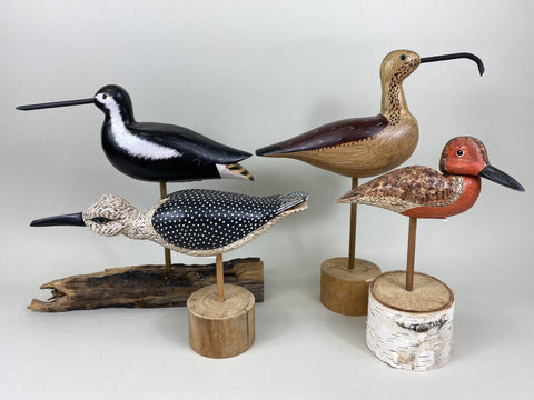 Lot of 4 Shorebirds (#5479)