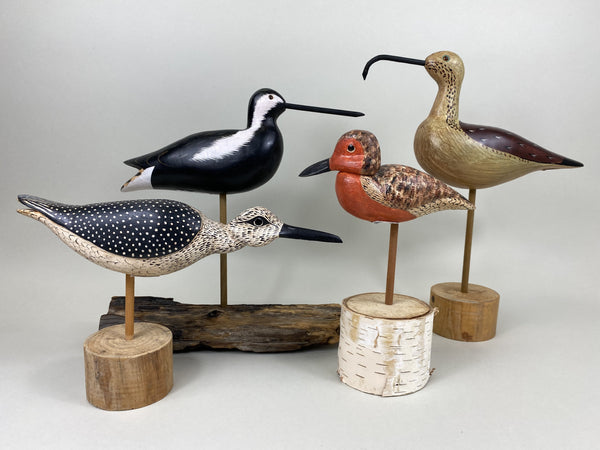 Lot of 4 Shorebirds (#5479)