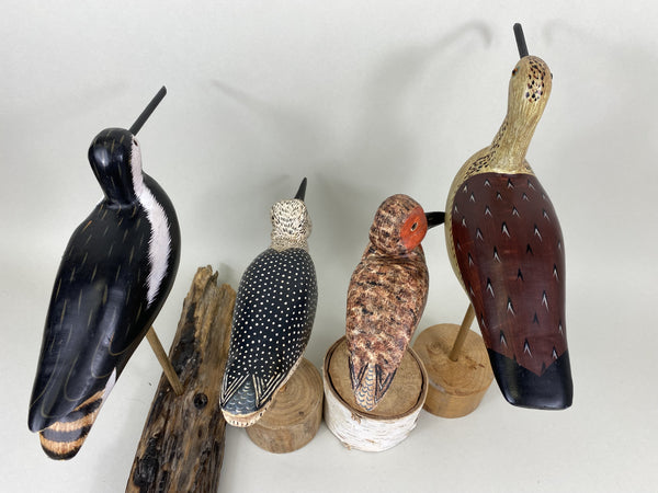 Lot of 4 Shorebirds (#5479)