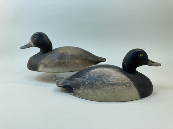 Wildfowler Bluebills Old Saybrook Rigmate (#5494)