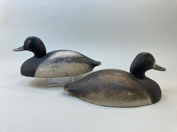 Wildfowler Bluebills Old Saybrook Rigmate (#5494)