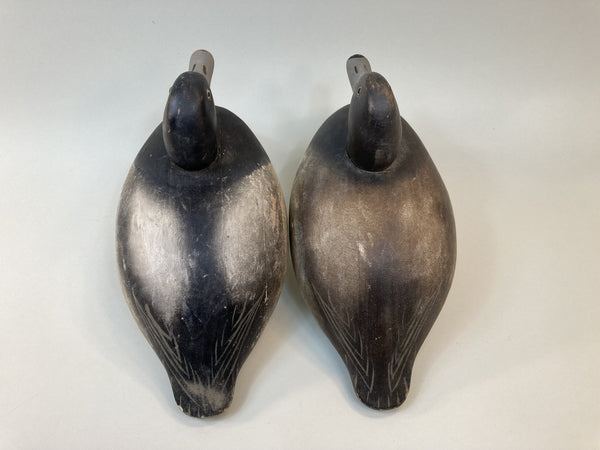 Wildfowler Bluebills Old Saybrook Rigmate (#5494)