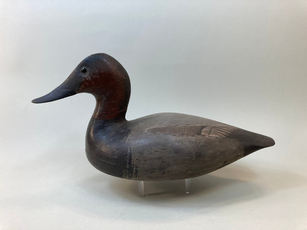 Tory Ward Canvasback, LT Brand on Bottom (#5495)