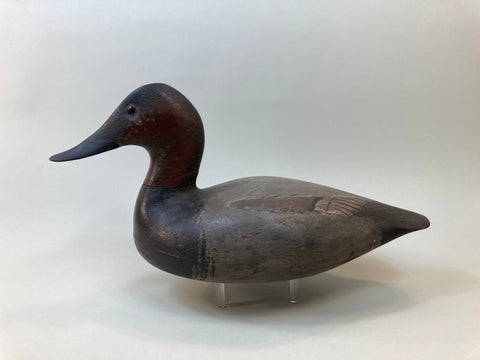 Tory Ward Canvasback, LT Brand on Bottom (#5495)