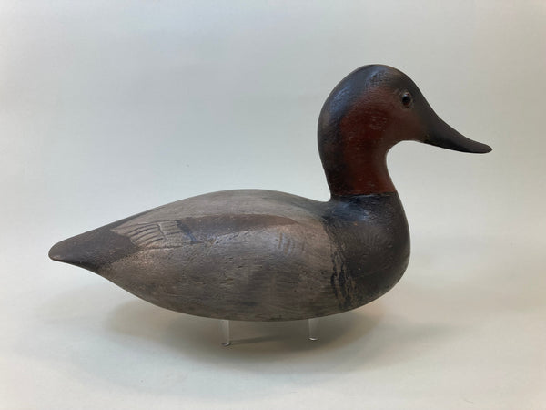Tory Ward Canvasback, LT Brand on Bottom (#5495)