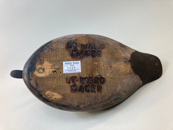 Tory Ward Canvasback, LT Brand on Bottom (#5495)