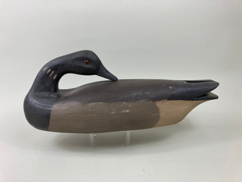 Pete Wilber Preening Brant (#5502)