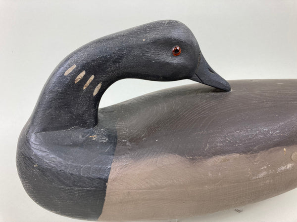 Pete Wilber Preening Brant (#5502)