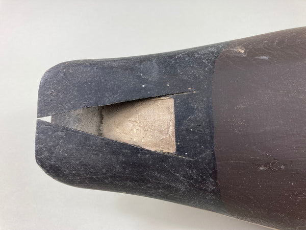 Pete Wilber Preening Brant (#5502)