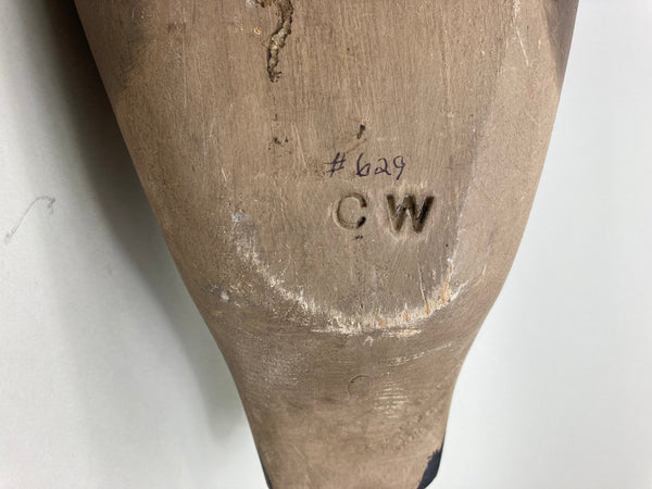 Pete Wilber Preening Brant (#5502)