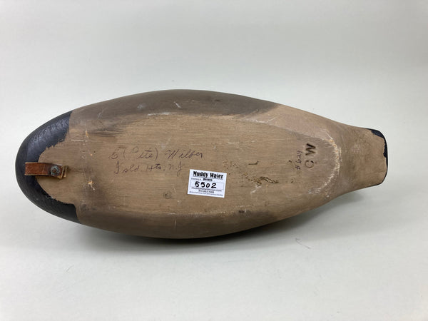 Pete Wilber Preening Brant (#5502)