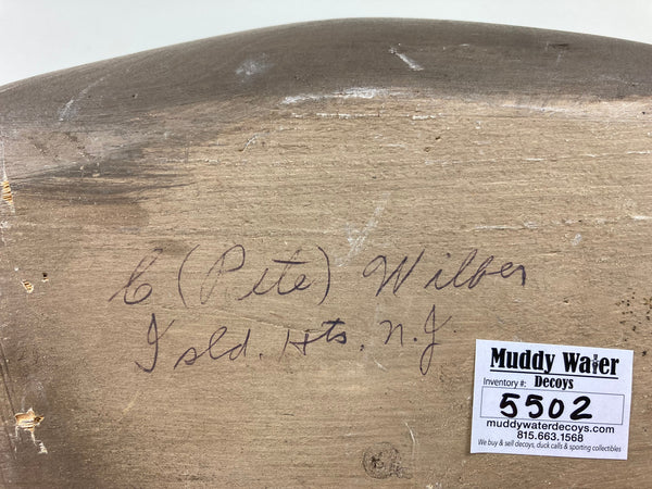 Pete Wilber Preening Brant (#5502)