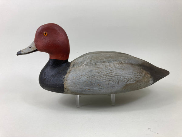 Dr. Miles Pernie Red Head Drake (#5504)