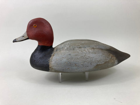 Dr. Miles Pernie Red Head Drake (#5504)