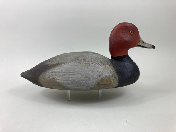 Dr. Miles Pernie Red Head Drake (#5504)