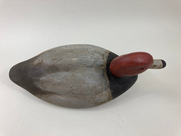 Dr. Miles Pernie Red Head Drake (#5504)