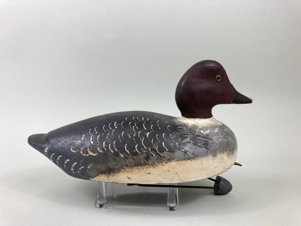 Gordon Brett Golden Eye Hen, Ontario (#5509)