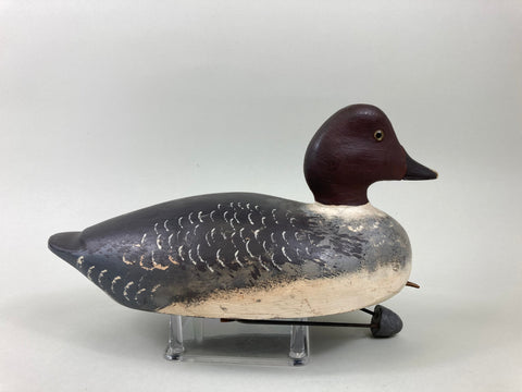 Gordon Brett Golden Eye Hen, Ontario (#5509)