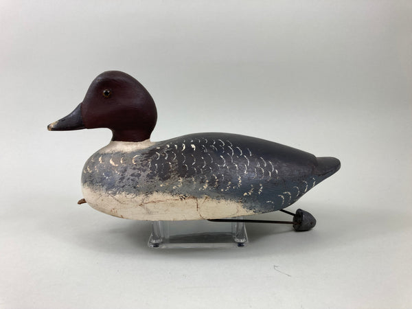 Gordon Brett Golden Eye Hen, Ontario (#5509)