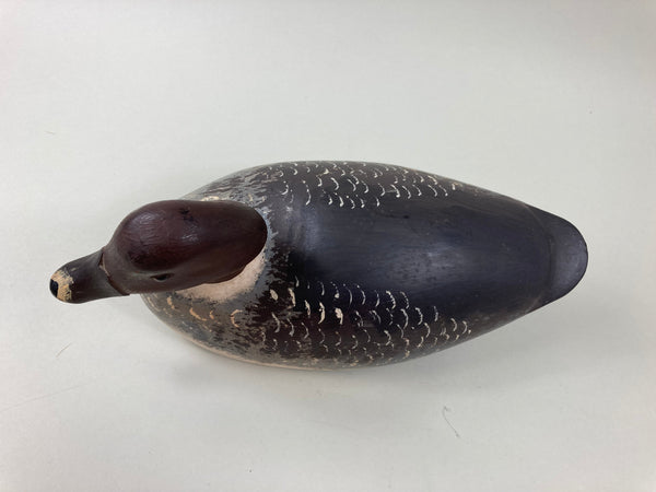 Gordon Brett Golden Eye Hen, Ontario (#5509)