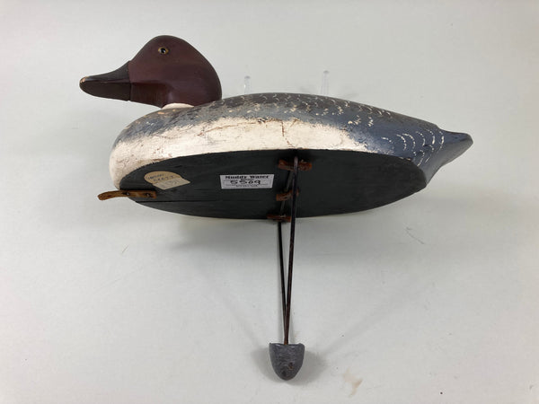 Gordon Brett Golden Eye Hen, Ontario (#5509)