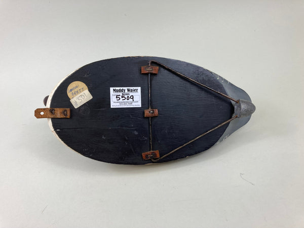 Gordon Brett Golden Eye Hen, Ontario (#5509)