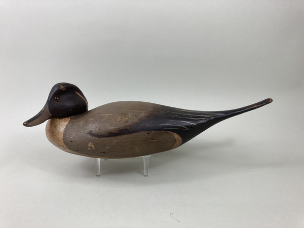 Pat Gregory, Ward Brothers Style Pintail Drake (#5511)