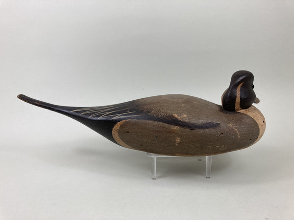 Pat Gregory, Ward Brothers Style Pintail Drake (#5511)