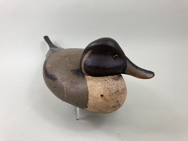 Pat Gregory, Ward Brothers Style Pintail Drake (#5511)