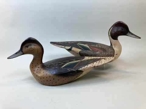 Ward Brothers Style Pintails Pair (#5515)