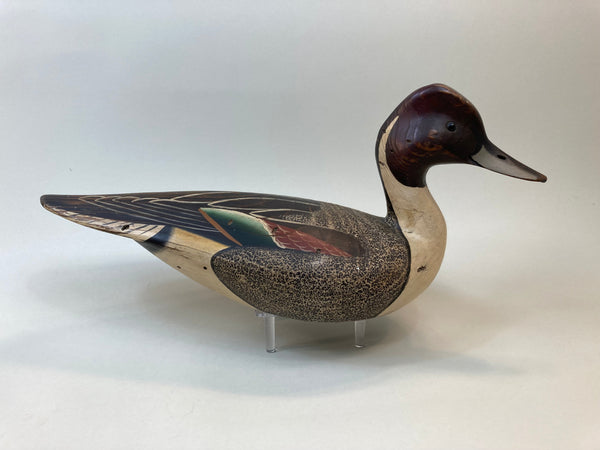 Ward Brothers Style Pintails Pair (#5515)