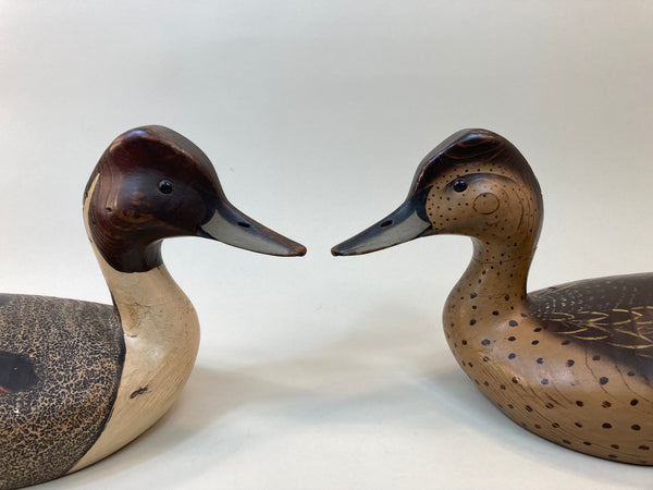 Ward Brothers Style Pintails Pair (#5515)
